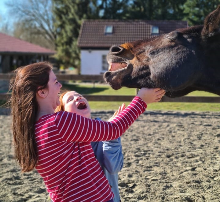 Coachingprogramm bei Natur- und Pferzauber