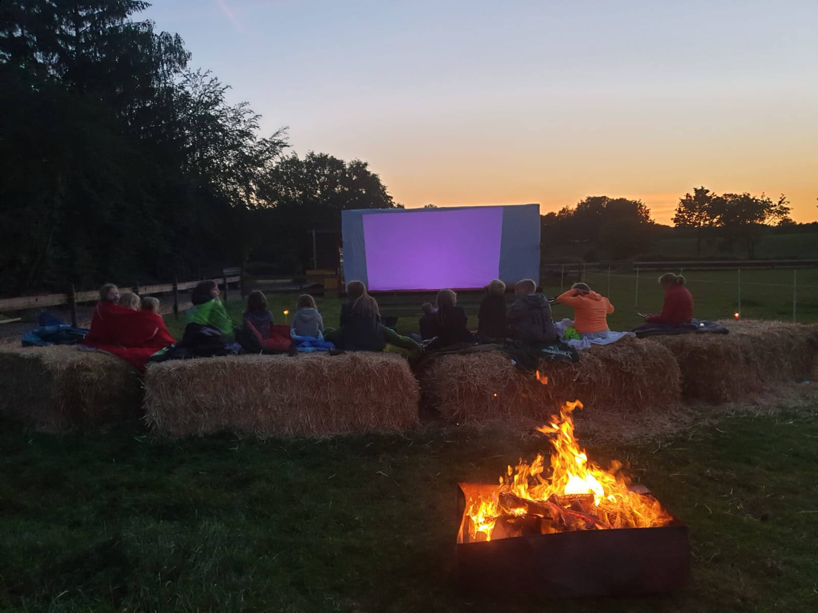 Projekt Impressionen: Pferdekino