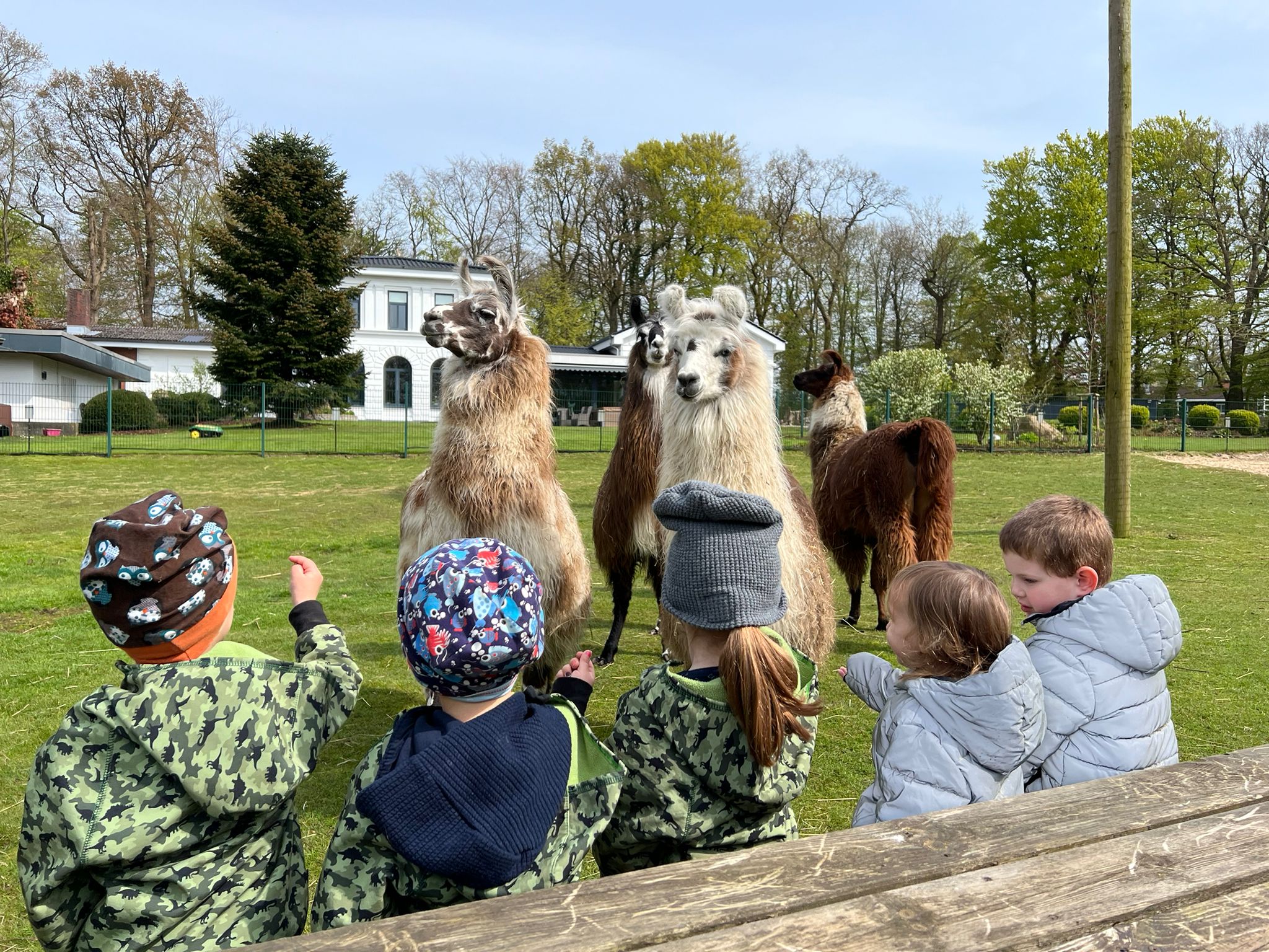 Projekt Impressionen: Kinder zusammen mit Lamas