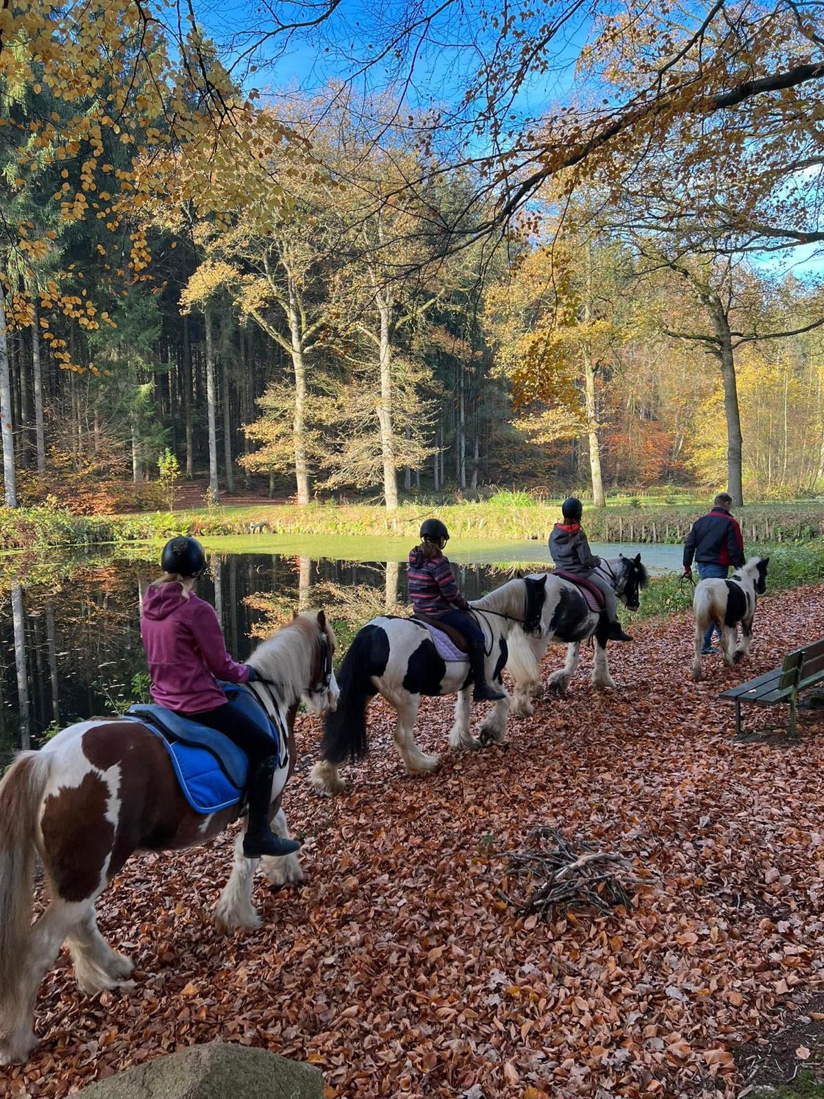 Ausflüge und Waldprojekte