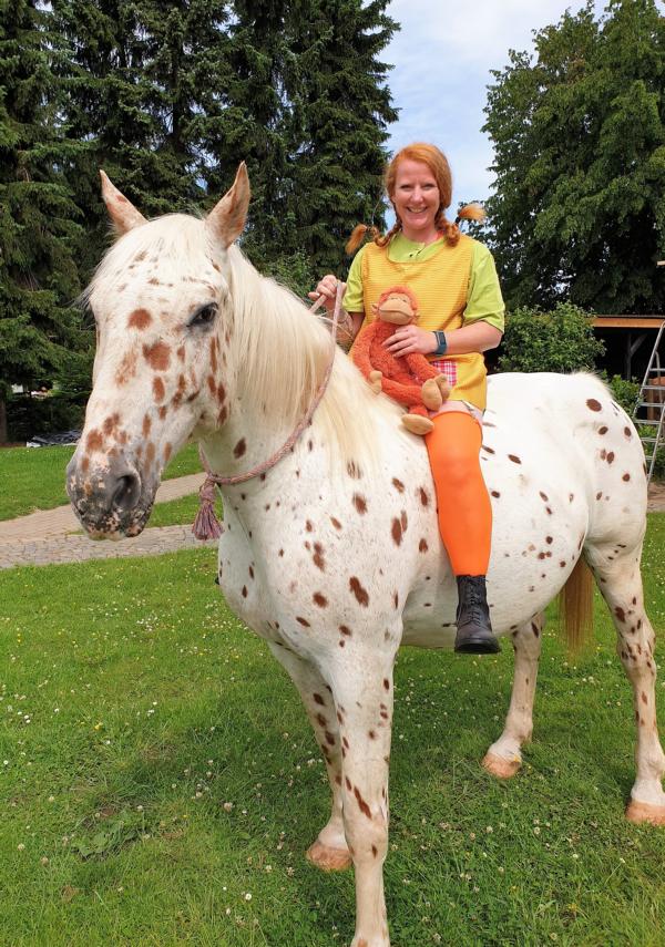 Projekt Impressionen: Pferd mit Reiterin