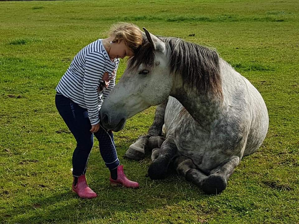 Projekt Impressionen: Pferd mit Kind