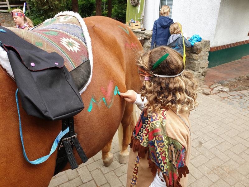 Projekt Impressionen: Pferd mit Reiterin