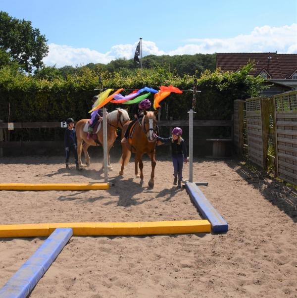 Projekt Impressionen: Pferde Parkour